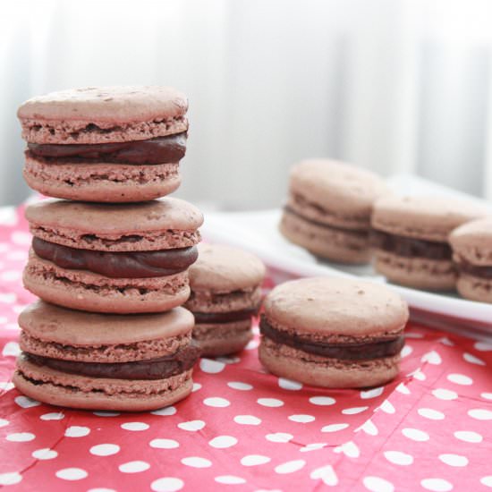 Chocolate Macarons