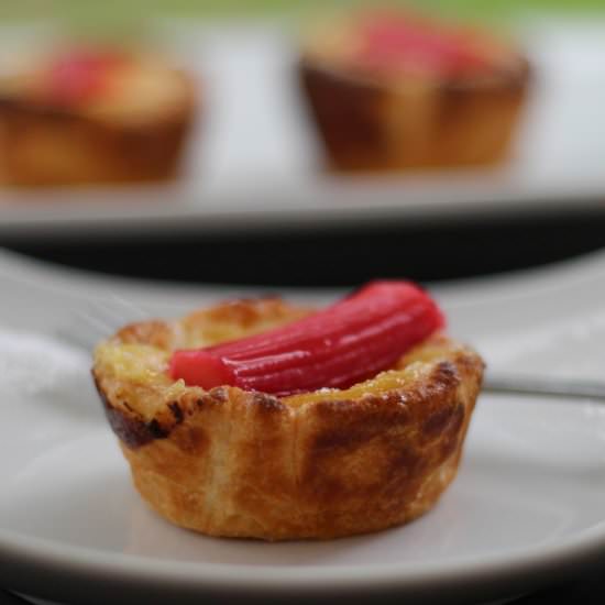 Rhubarb and Custard Tarts