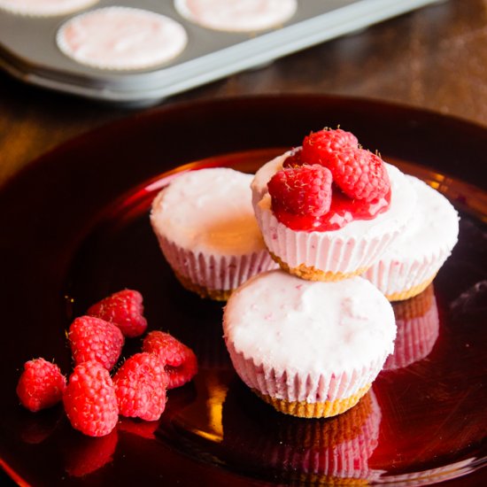 Raspberry Frozen Mini Cakes