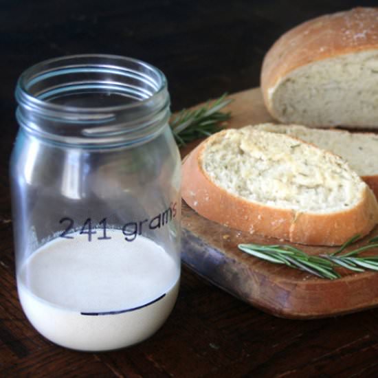 DIY Sourdough Starter