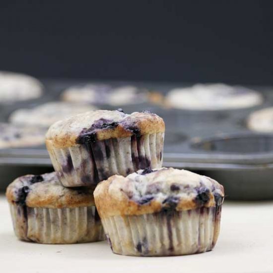 Gluten Free Vegan Blueberry Muffins