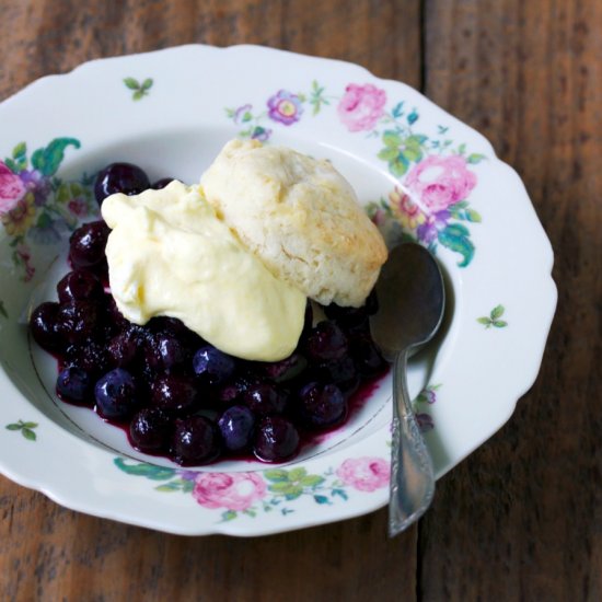 Blueberry Lemon Shortcake