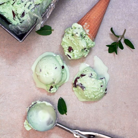 Chocolate Mint Ice Cream