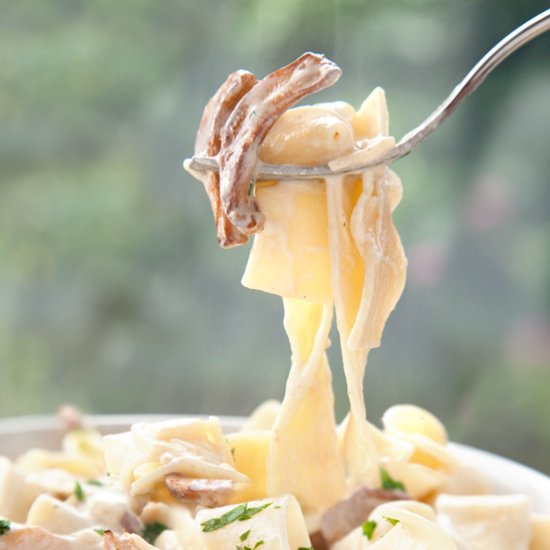 Wild mushroom parpadelle