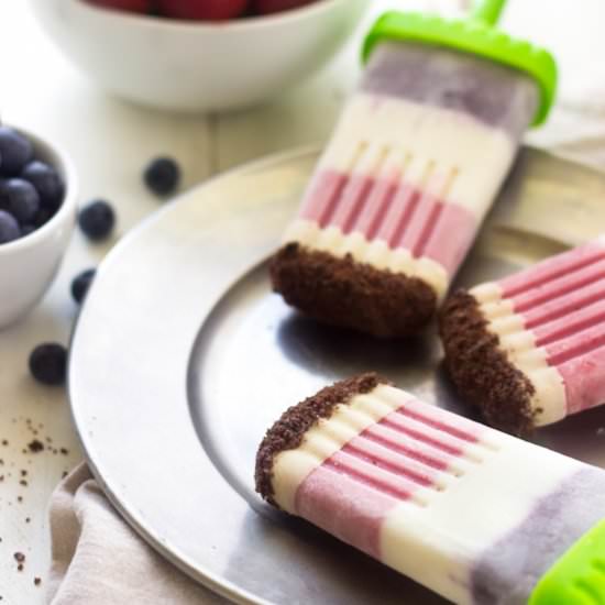 Chocolate Crunch Yogurt Popsicles