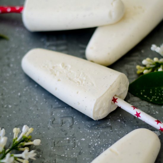 Frozen Yoghurt Ice Cream Pops