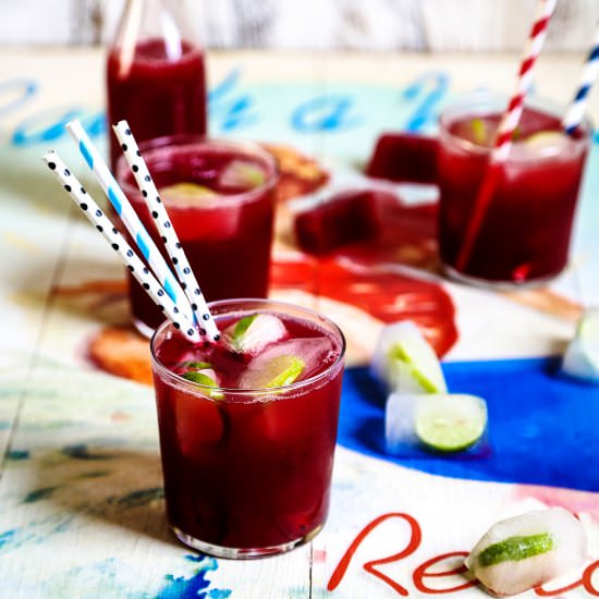 Watermelon Cranberry Vodka Cocktail