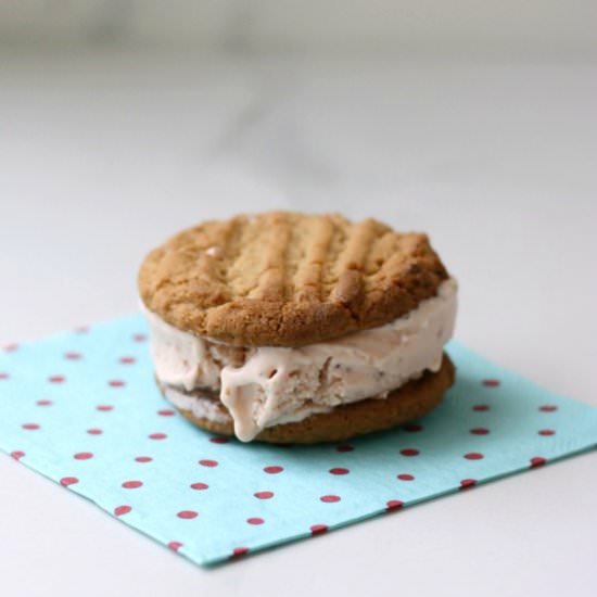 Peanut and Berry Ice Cream Sandwich