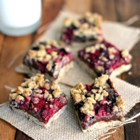 Chocolate Raspberry Oat Bars