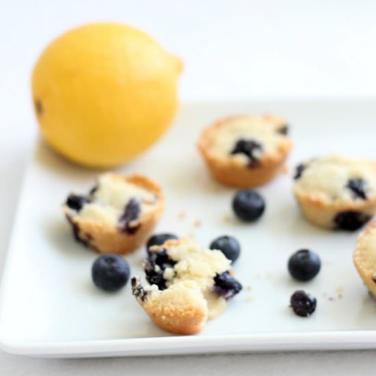 Lemon Blueberry Shortbread Bites