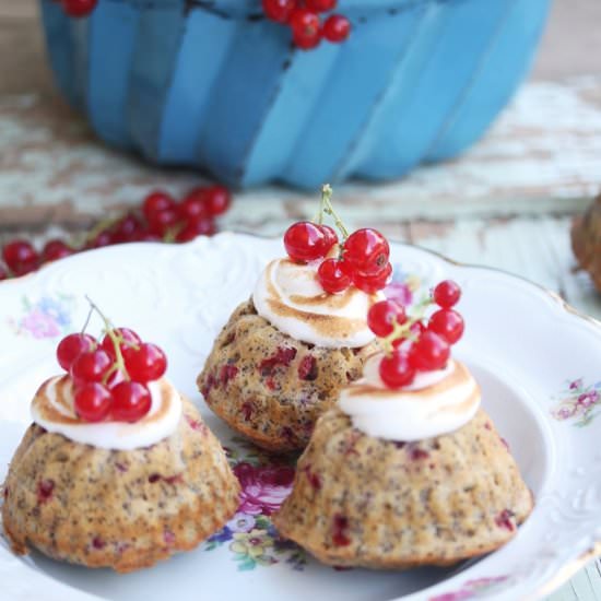 Red Currant – Poppyseed Minigugl