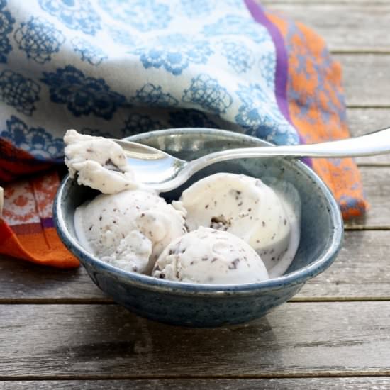 Vegan Mint Chocolate Chip Ice Cream