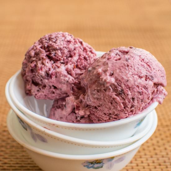 Roasted Berries Frozen Yogurt