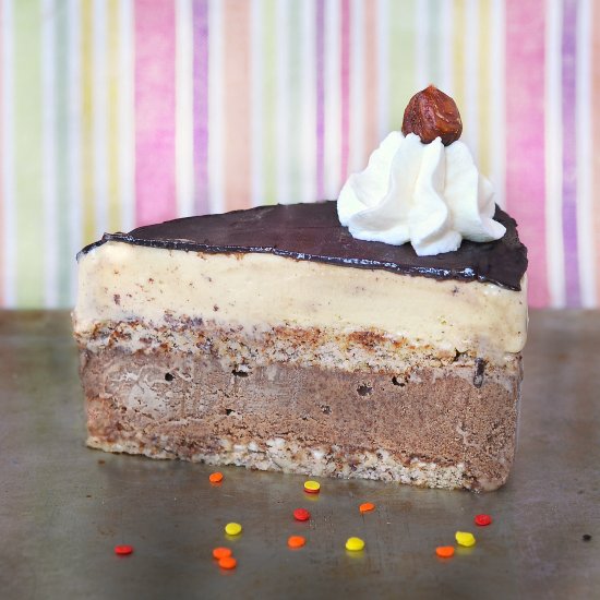 Caffeine Bliss Ice Cream Cake