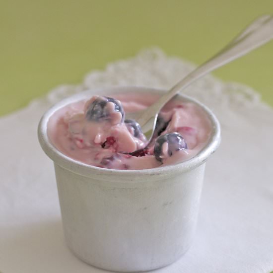 Mixed Berry Frozen Yoghurt