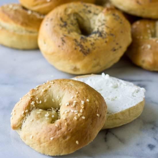 Homemade Bagels