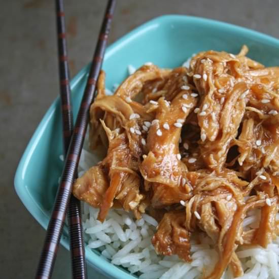 Slow Cooker Honey Ginger Chicken