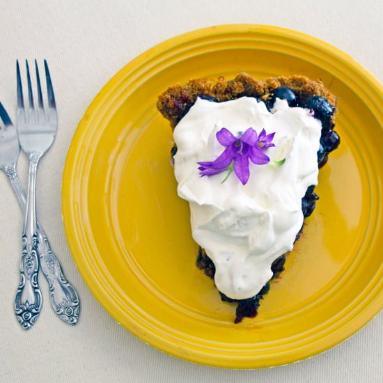 Blueberry Pie with Gingersnap Crust