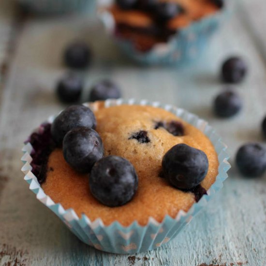 Blueberry Muffins