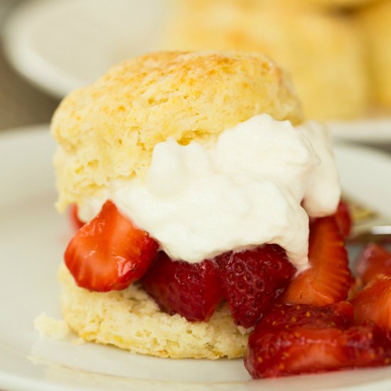 Strawberry Shortcake Recipe