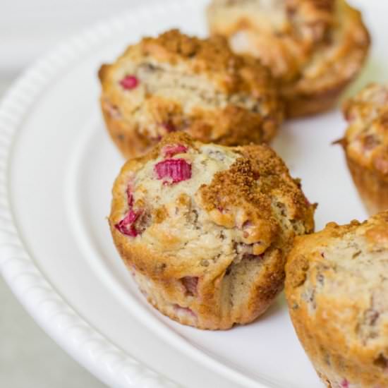 Rhubarb Muffins