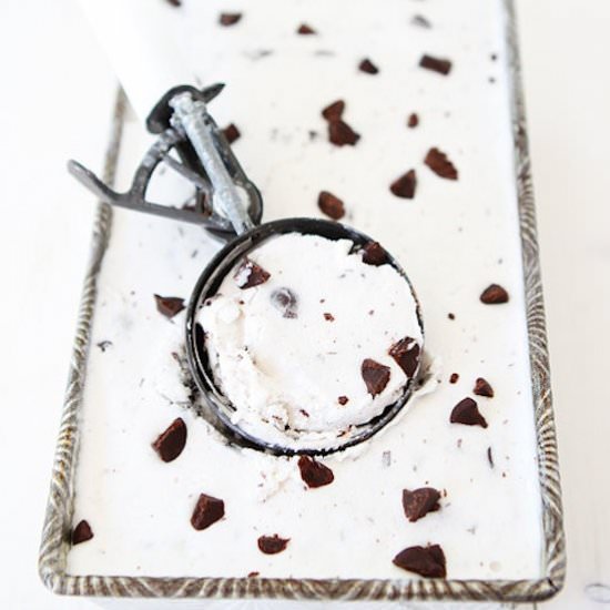 Coconut Chocolate Chunk Ice Cream