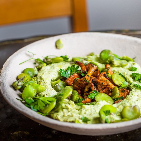 Broad bean hummus with chanterelles