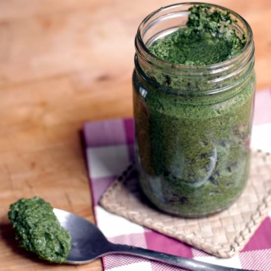 Spring Nettle Pesto