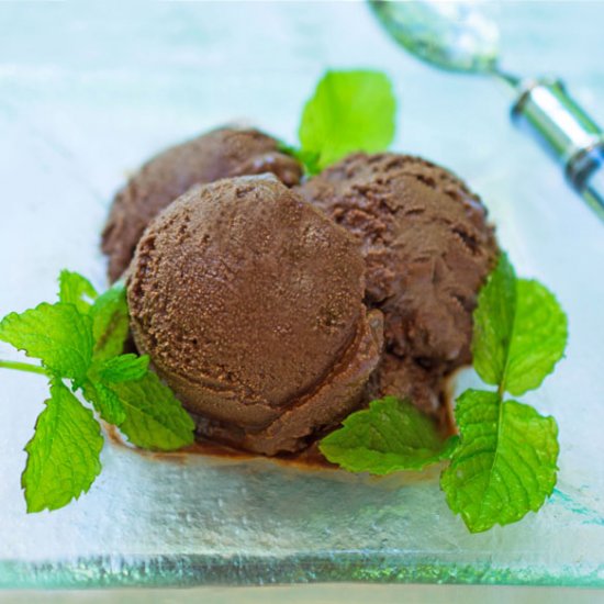 Chocolate-Peppermint Sorbet