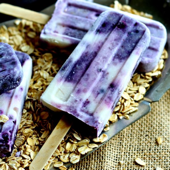 Blueberry Oatmeal Popsicles