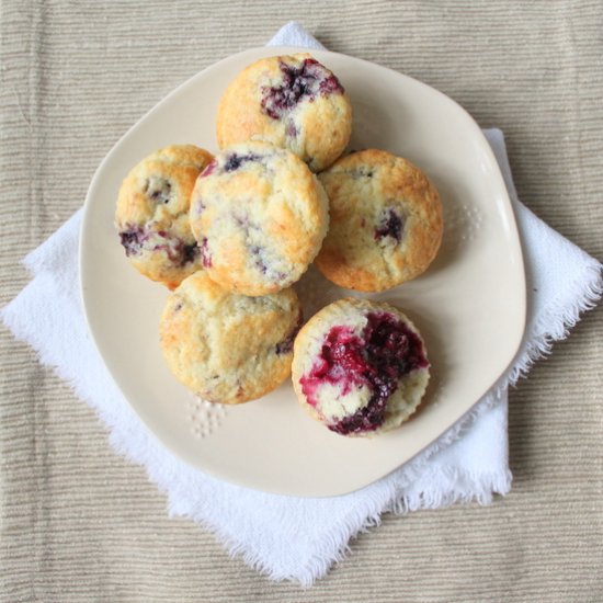 Blackberry Muffins