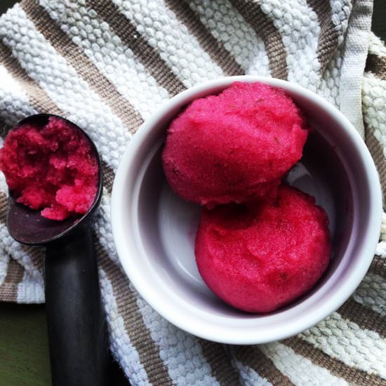 Red Currant and Lime Sorbet