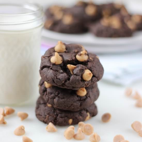 Flourless Chocolate PB Cookies