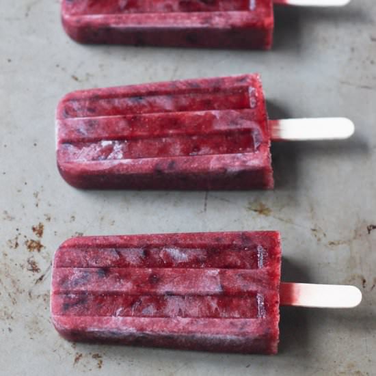 Plum Sorbetto Pops