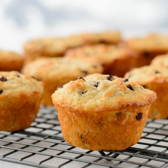 Oatmeal Chocolate Chip Muffins