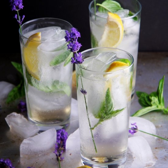 Summer Garden Gin Fizz