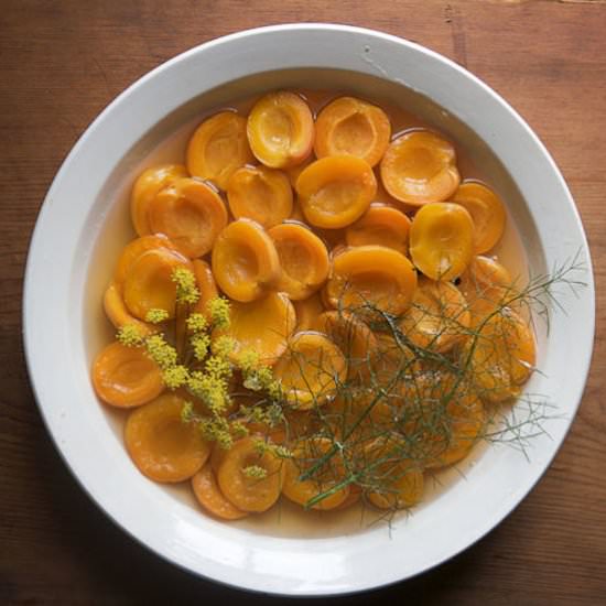 Wine-Poached Apricots