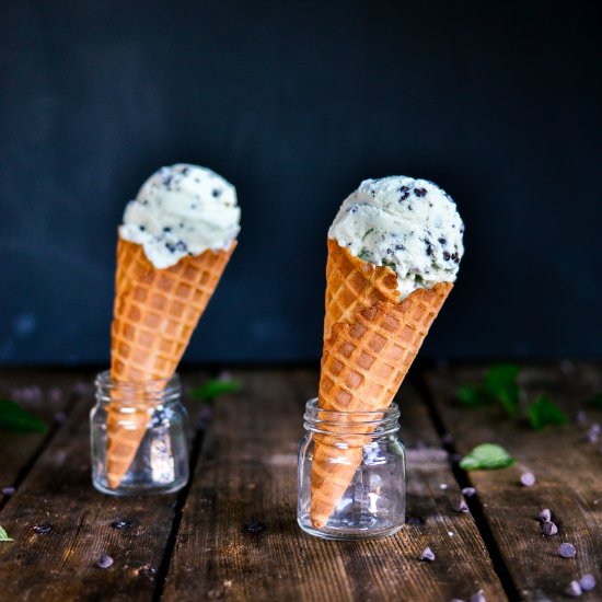 Mint Chocolate Chip Ice Cream