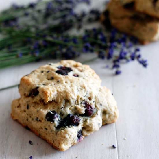 Blueberry Lavender Scones