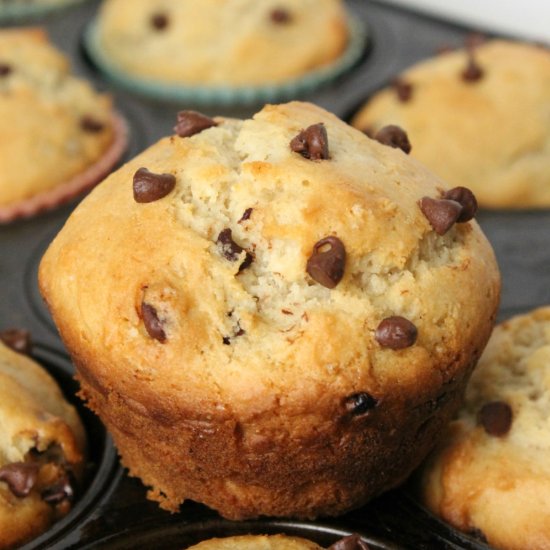 Gluten Free Chocolate Chip Muffins