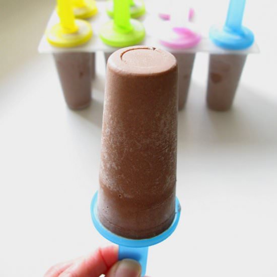 Vegan Chocolate Ice Pops