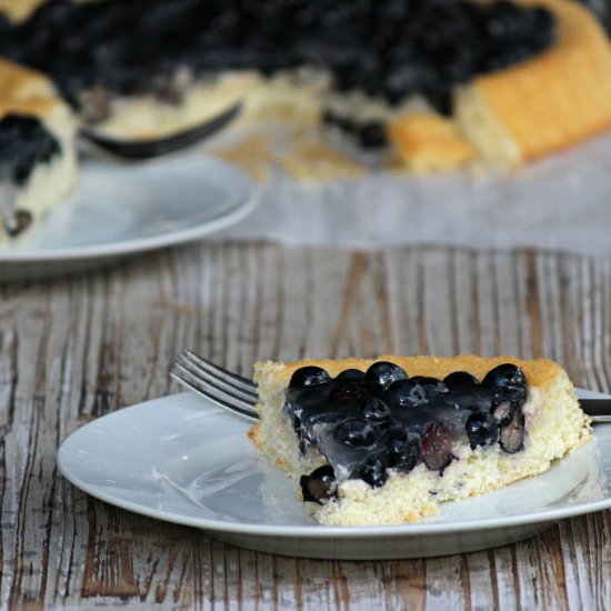 Fruit Cake with Fresh Blueberries