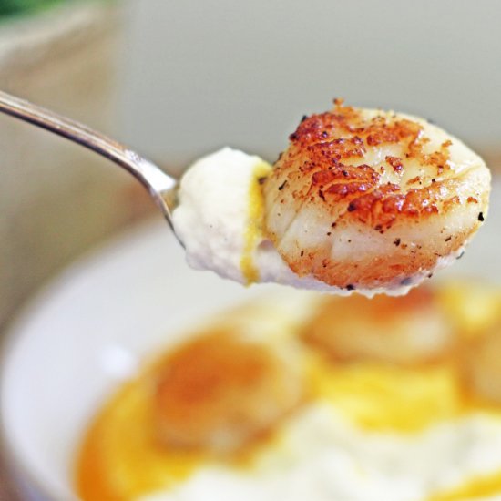 Seared Scallops Cauliflower Puree