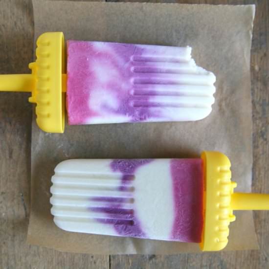 Berry Swirled Frozen Yogurt Pops