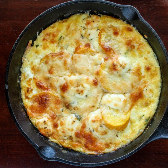 Farmer’s market zucchini gratin