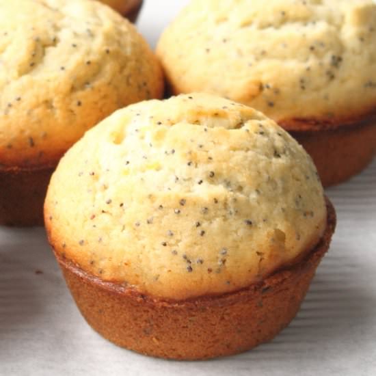 Lemon Poppy Seed Muffins