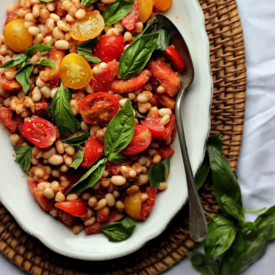 Tomato & White Bean Salad Provençal