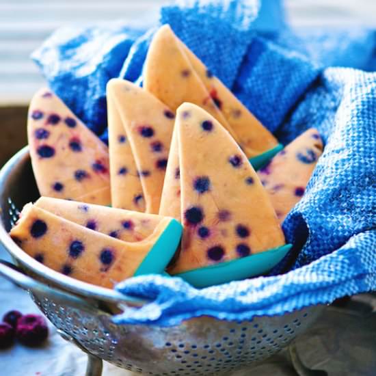 Blueberry Carrot Yogurt Popsicles