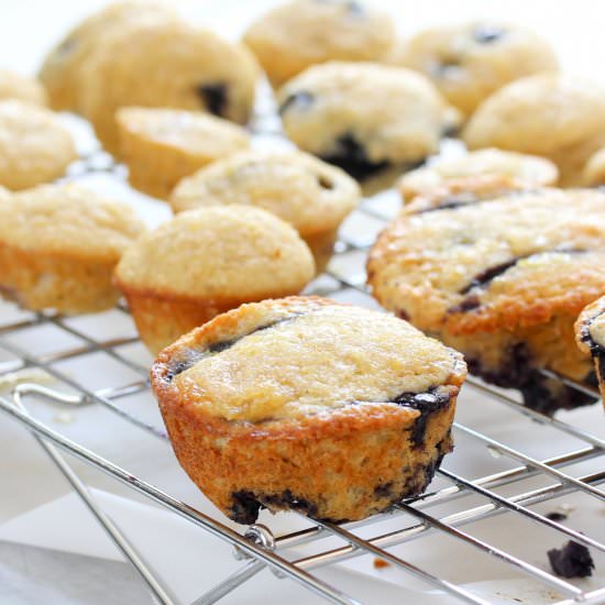 Double Blueberry Muffins