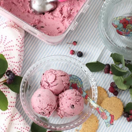 Saskatoon Berry Ice Cream